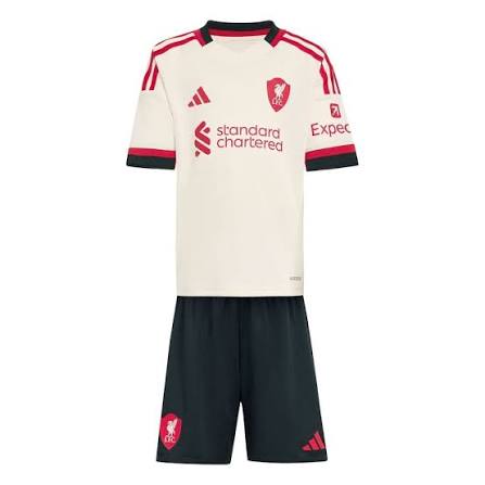 Liverpool FC 25/26 Away Kit - Player Version