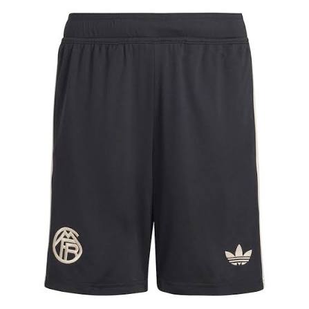 FC Bayern Munich 2025/26 Third kit - Player Version
